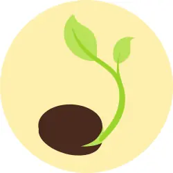 Organizing Tree Plantation Drives