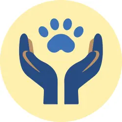 Rescue and Rehabilitation of Stray Animals