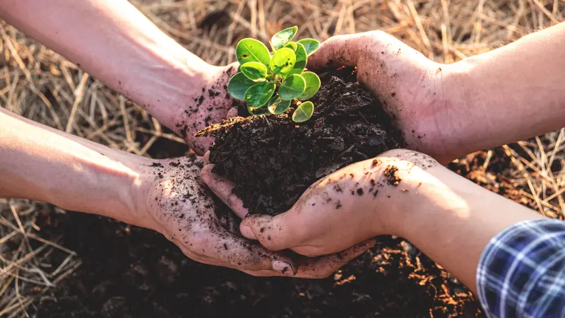 Save Animals and Trees